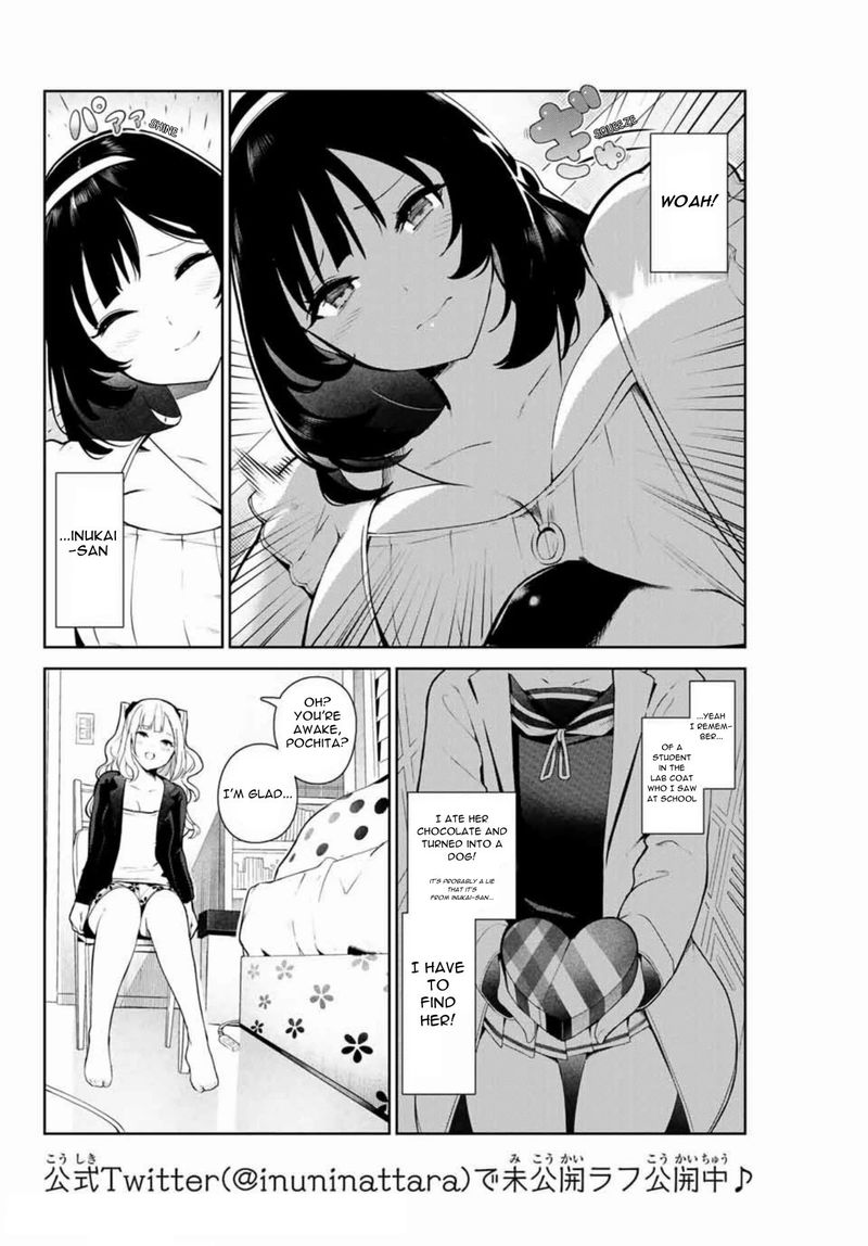 Inu Ni Nattara Suki Na Hito Ni Hirowareta 10 2