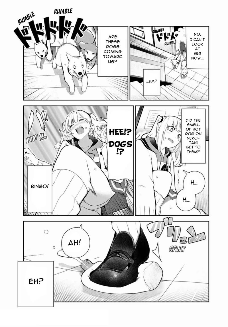 Inu Ni Nattara Suki Na Hito Ni Hirowareta 13 5