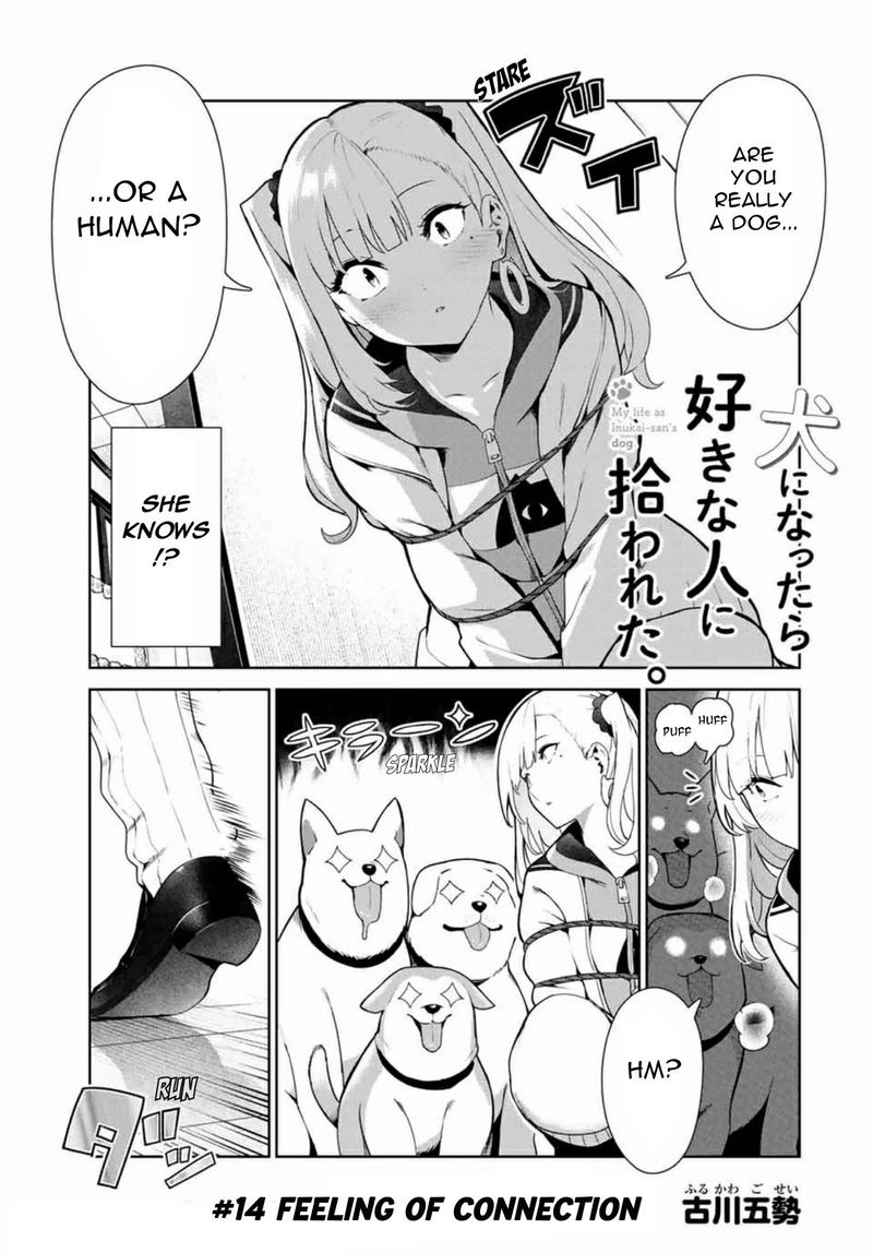 Inu Ni Nattara Suki Na Hito Ni Hirowareta 14 1
