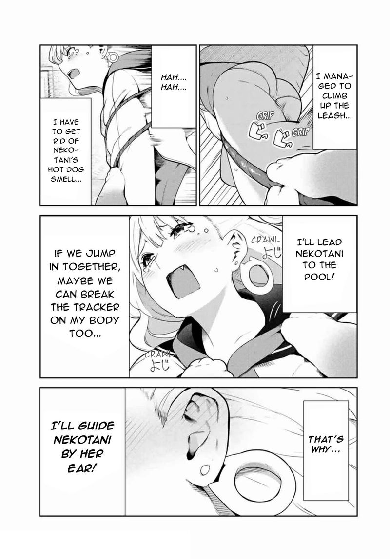 Inu Ni Nattara Suki Na Hito Ni Hirowareta 14 3