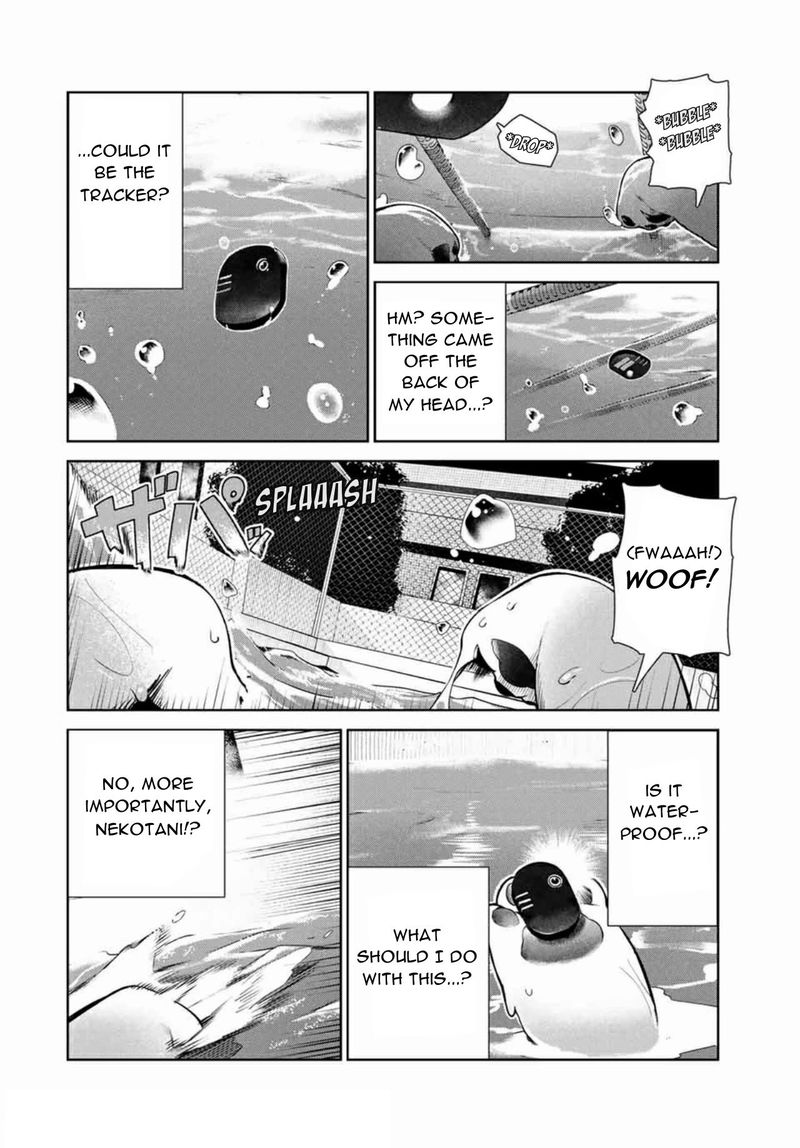 Inu Ni Nattara Suki Na Hito Ni Hirowareta 14 6