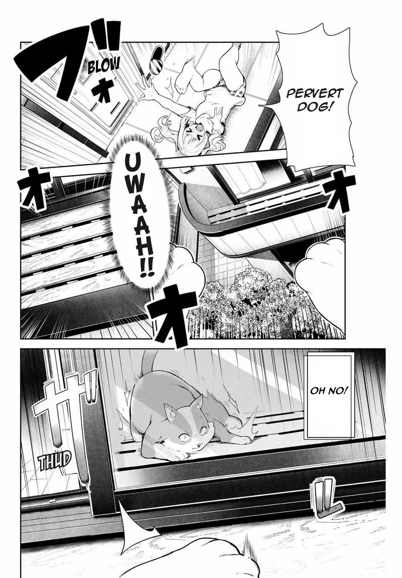 Inu Ni Nattara Suki Na Hito Ni Hirowareta 7 14