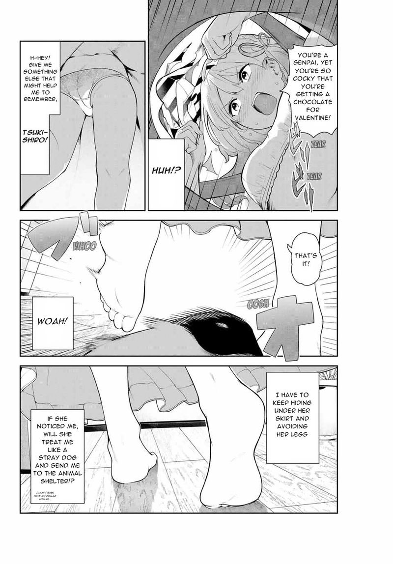 Inu Ni Nattara Suki Na Hito Ni Hirowareta 8 4