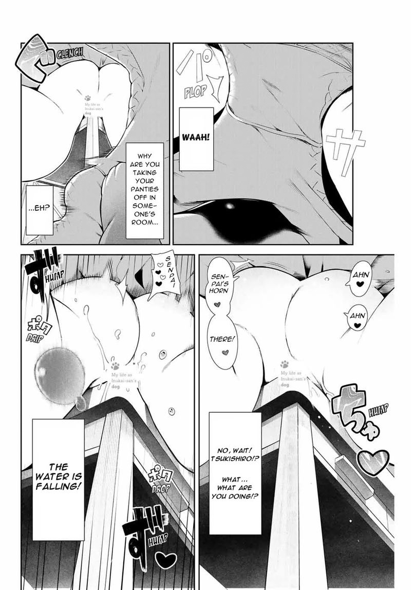 Inu Ni Nattara Suki Na Hito Ni Hirowareta 8 8
