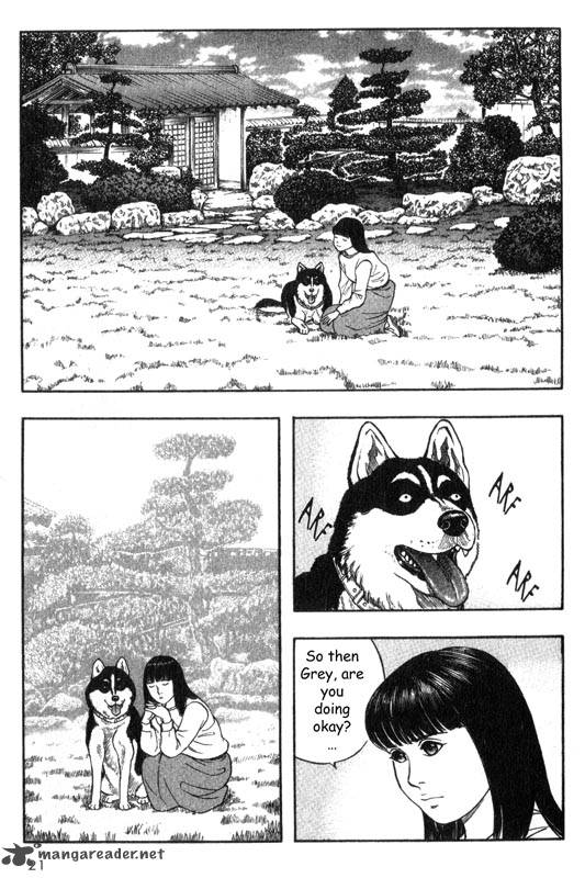 Inugami 5 21