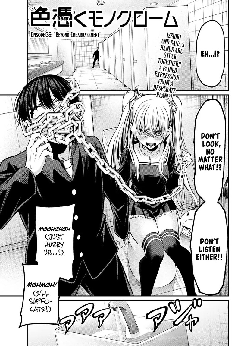Irozuku Monochrome 36 1