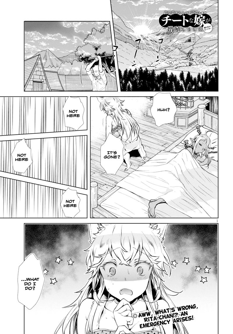 Isekai De Skill Wo Kaitai Shitara Cheat Na Yome Ga Zoushoku Shimashita Gainen Kousa No Structure 21e 1