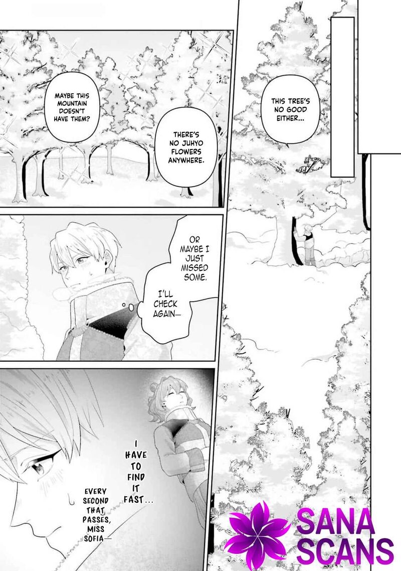 Isekai Shitateya Sofia Binbou Reijou Gendai Chishiki De Fuku Wo Tsukutte Minna No Kurashi Wo Yutaka Ni Shimasu 13 19