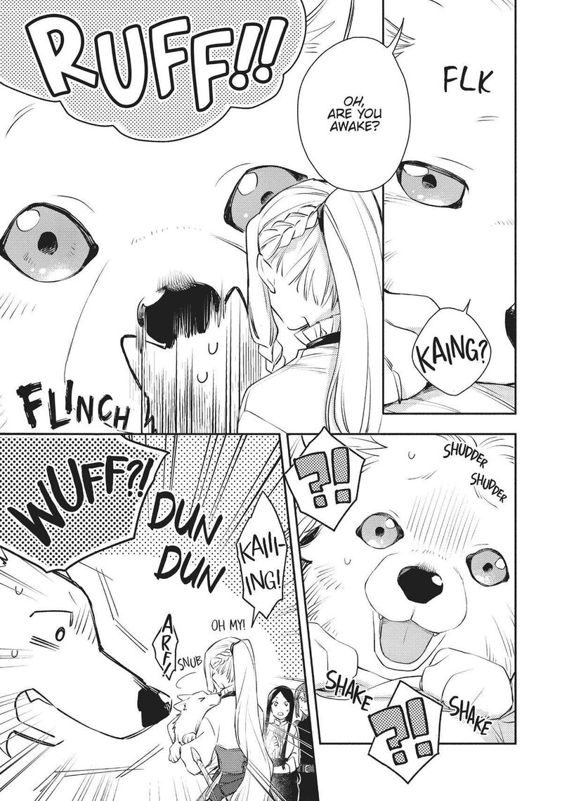 Isekai Tensei Shitara Aiken Ga Saikyou Ni Narimashita 17 21