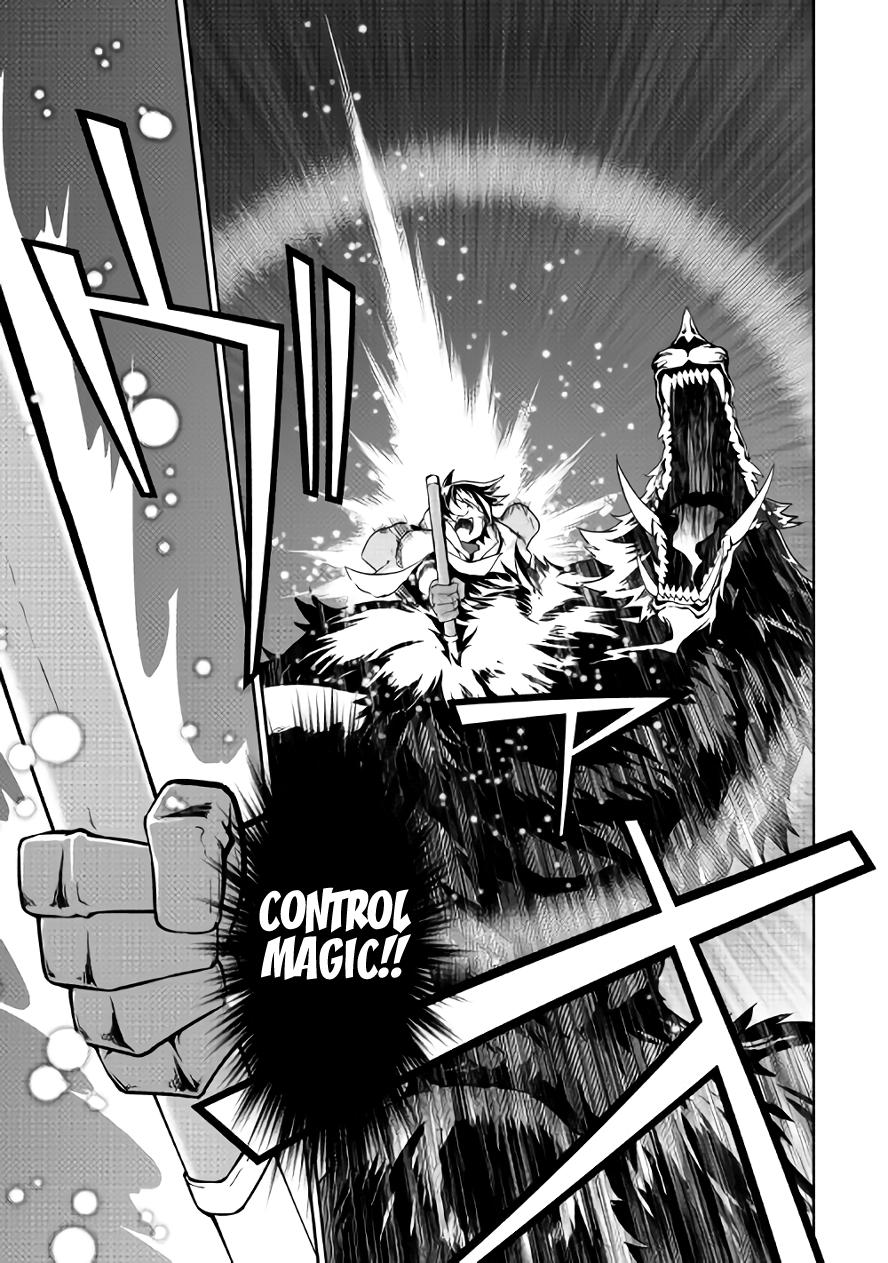 Isekai Wo Seigyo Mahou De Kirihirake 12 17