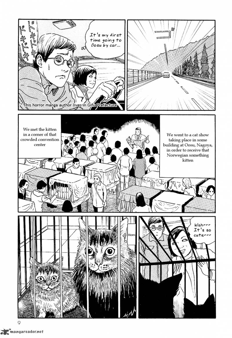 Ito Junjis Cat Diary 1 13