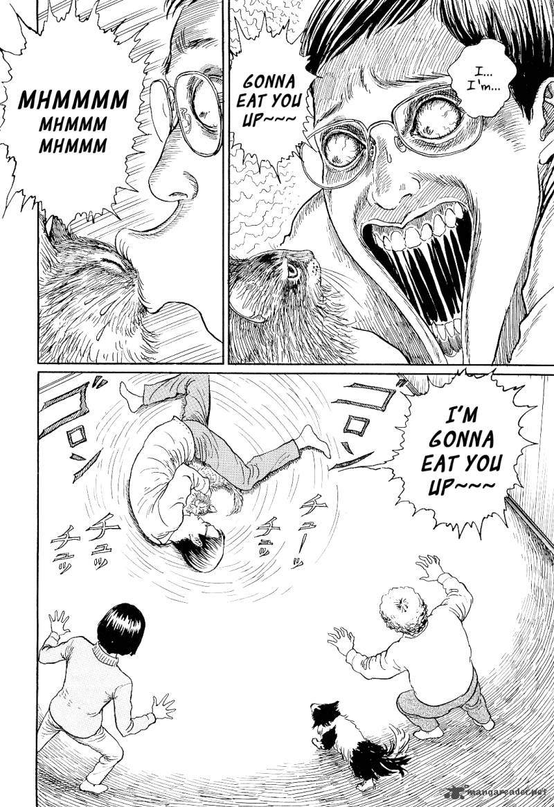 Ito Junjis Cat Diary 1 16