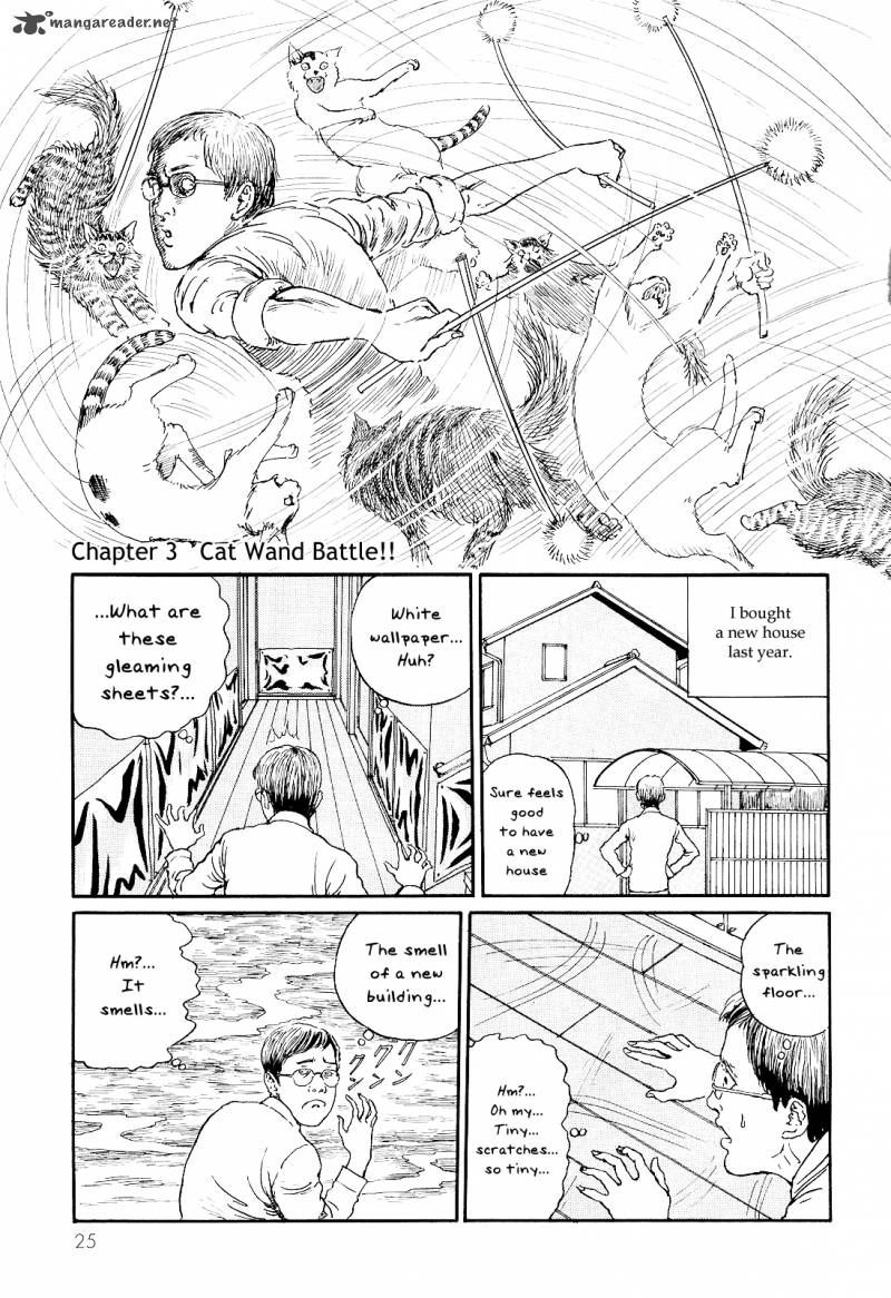 Ito Junjis Cat Diary 3 1