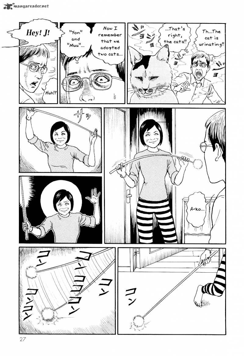 Ito Junjis Cat Diary 3 3