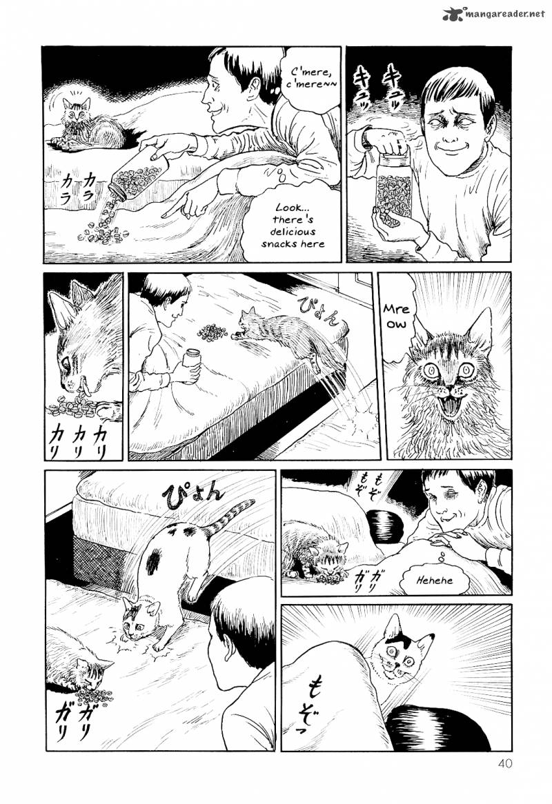 Ito Junjis Cat Diary 4 6