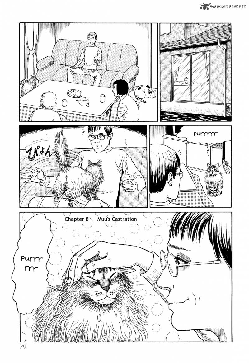 Ito Junjis Cat Diary 8 1