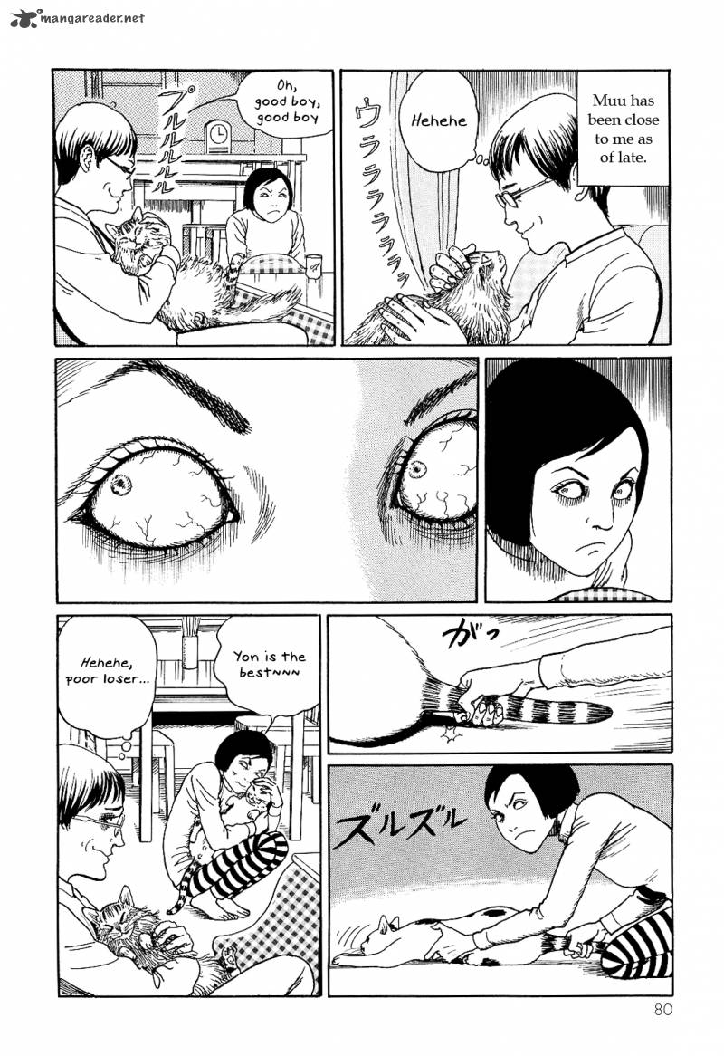 Ito Junjis Cat Diary 8 2