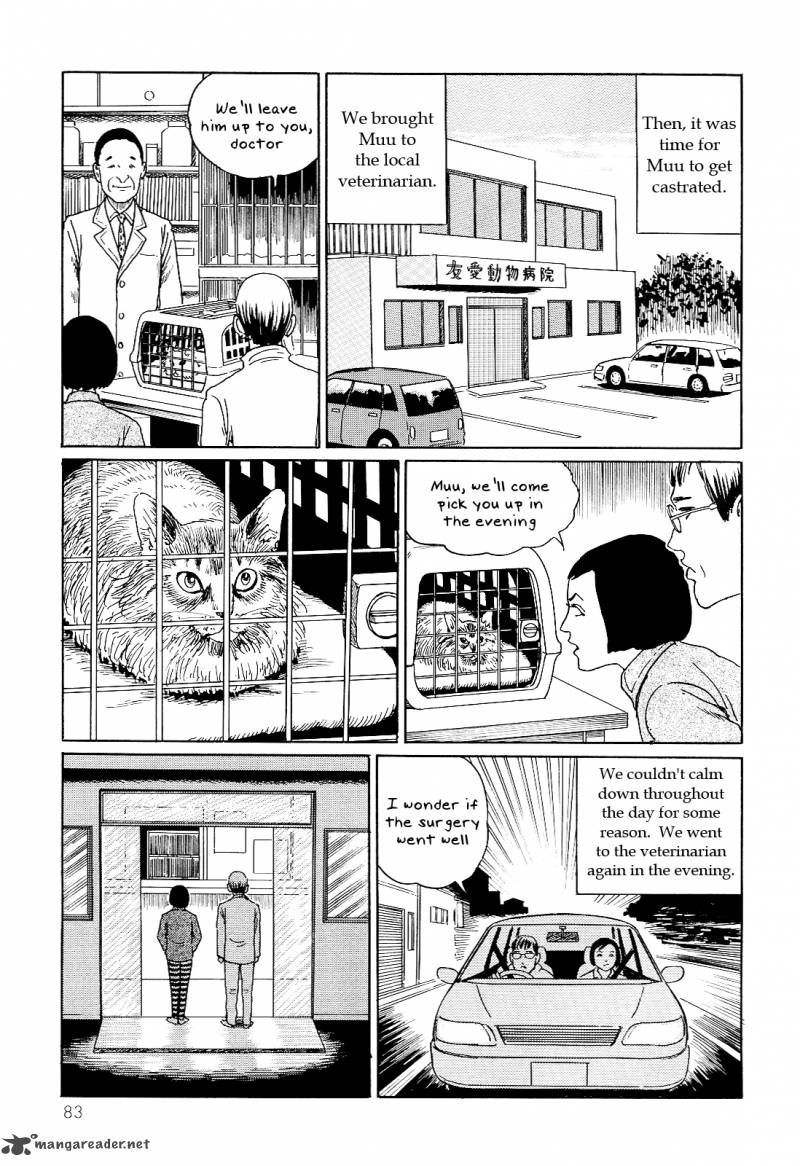 Ito Junjis Cat Diary 8 5