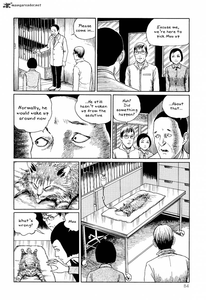 Ito Junjis Cat Diary 8 6