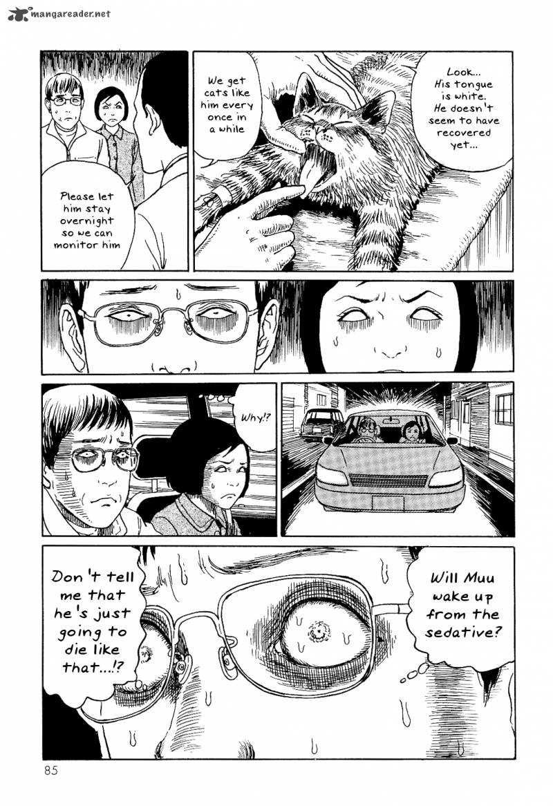 Ito Junjis Cat Diary 8 7
