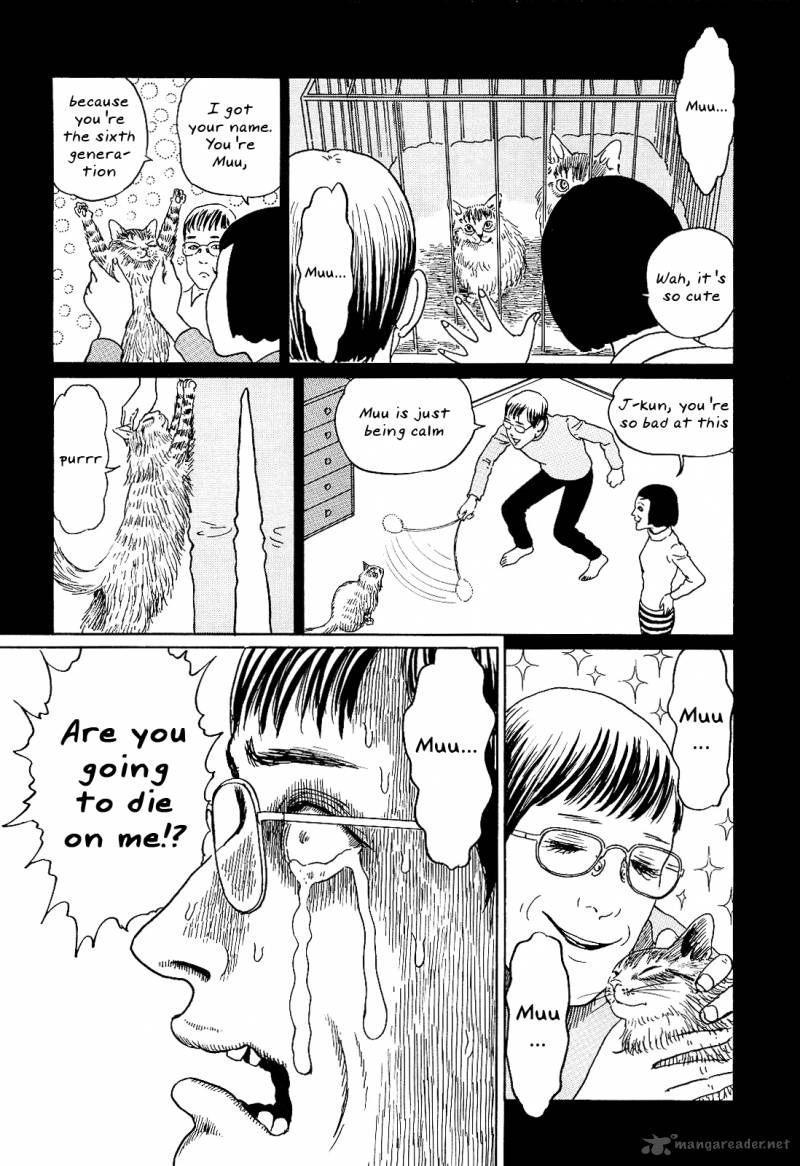 Ito Junjis Cat Diary 8 8