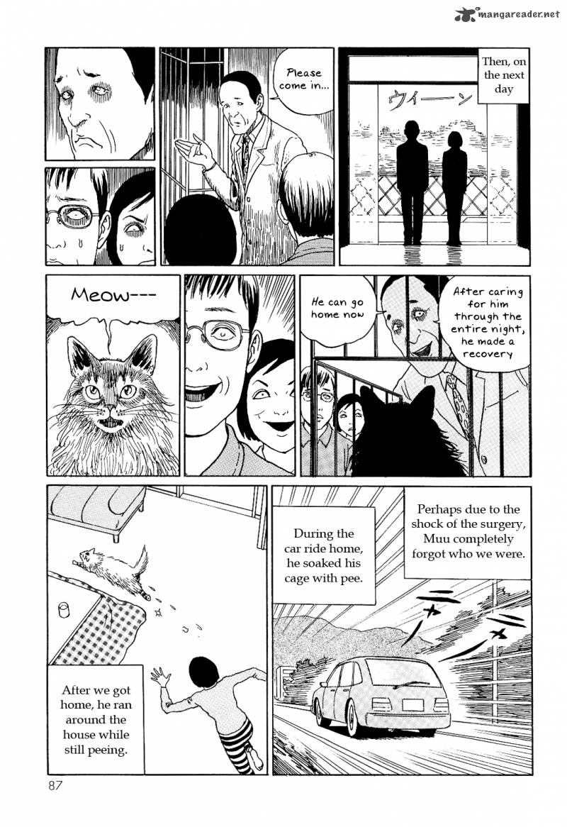 Ito Junjis Cat Diary 8 9