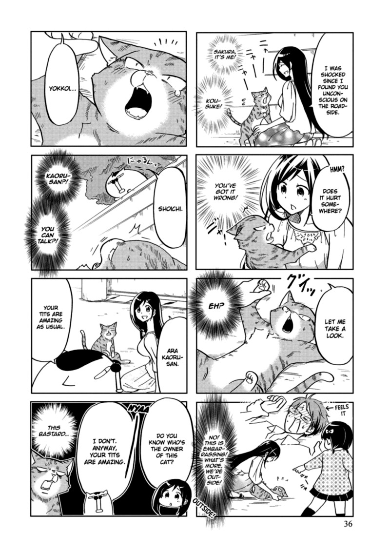 Itoshi No Sakura San 25 2