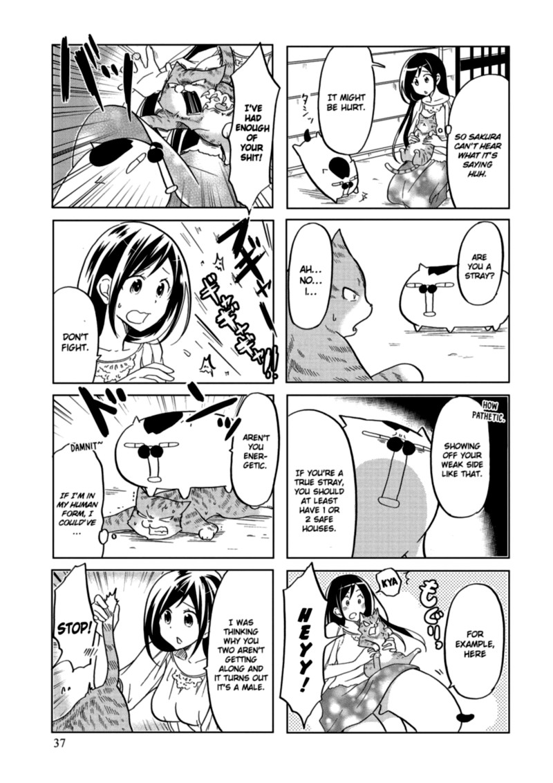 Itoshi No Sakura San 25 3