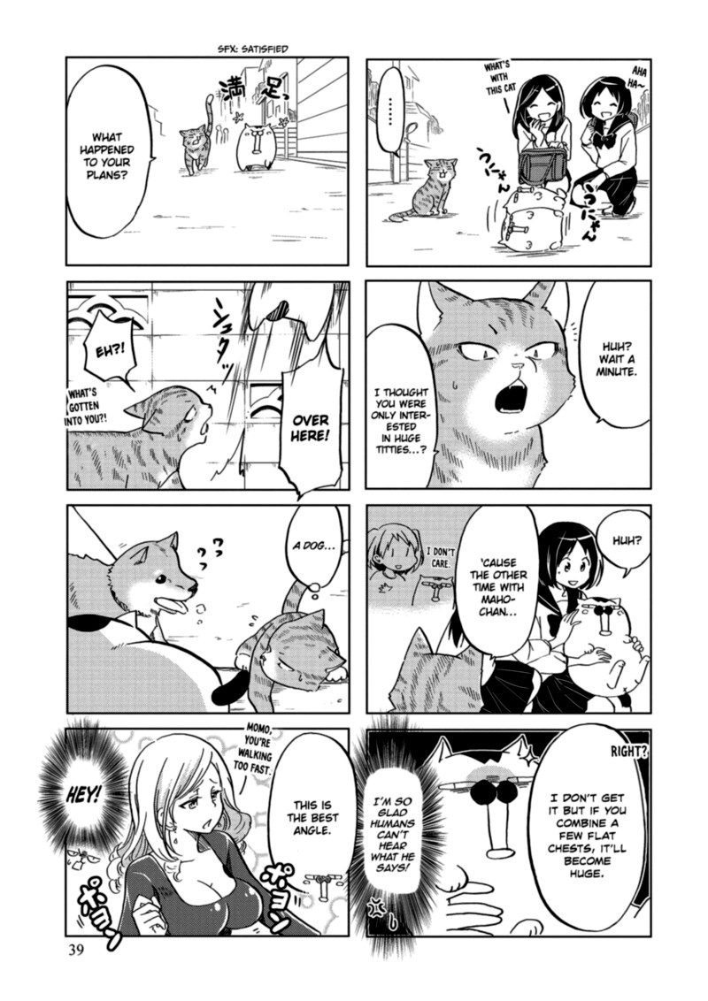 Itoshi No Sakura San 25 5