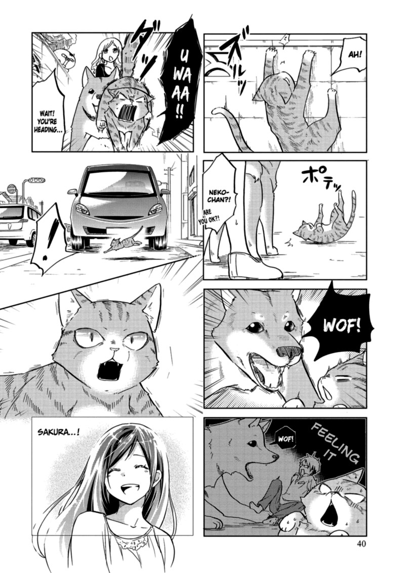 Itoshi No Sakura San 25 6