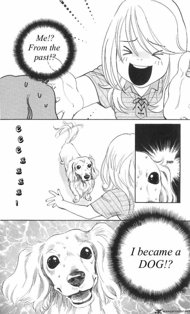 Its Not Like That Darling 13 34