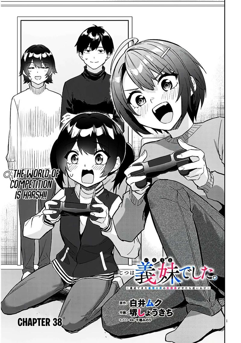 Jitsu Wa Imouto Deshita 38 2