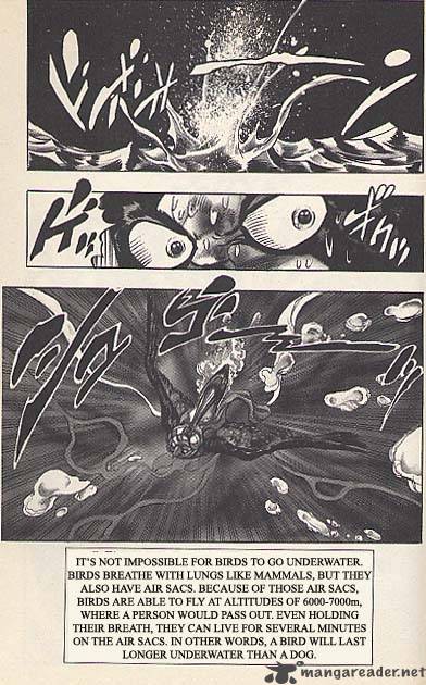 Jojos Bizarre Adventure Part 3 Stardust Crusaders 111 19