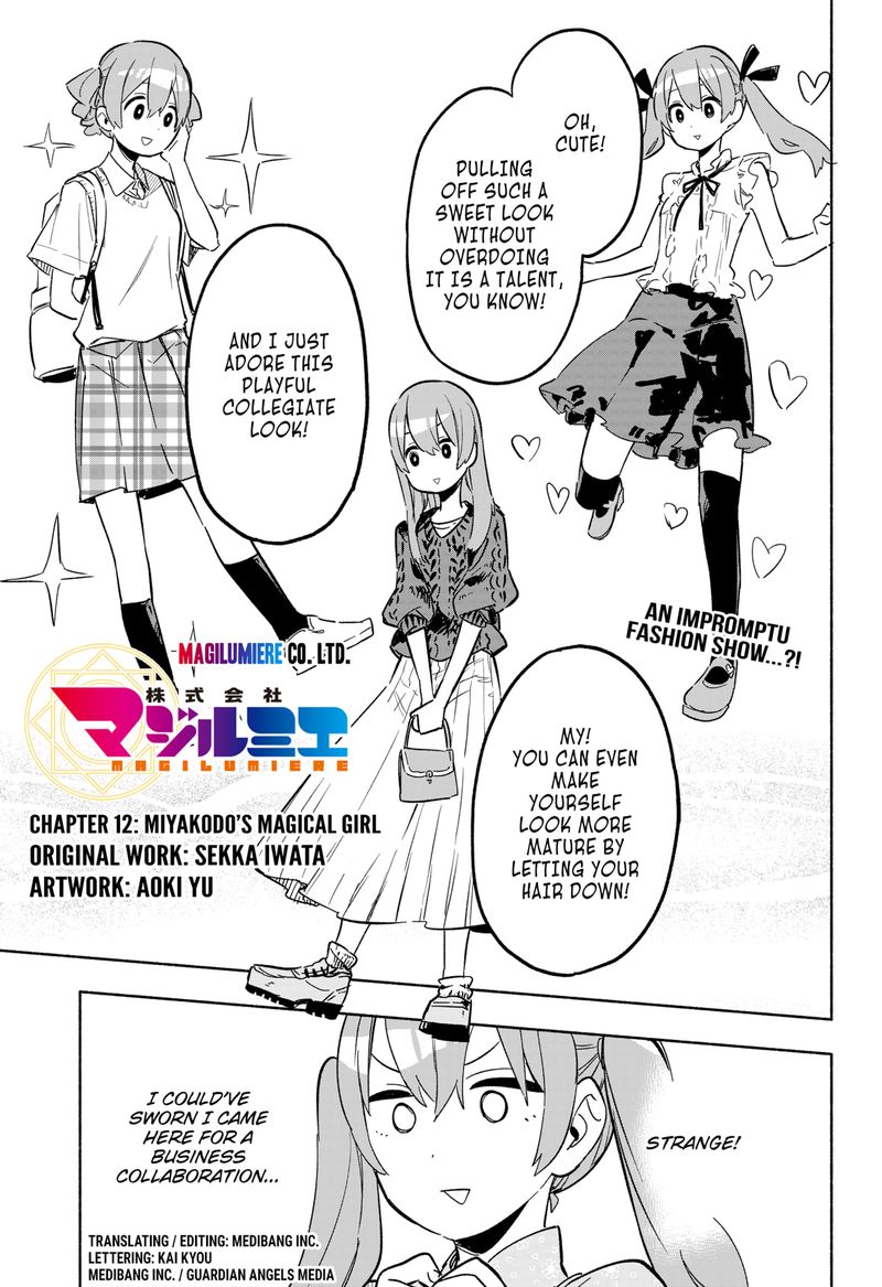 Kabushiki Gaisha Magilumiere 12 1