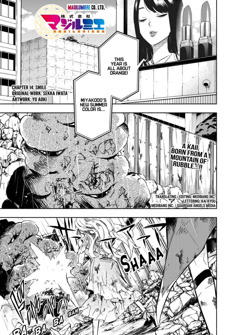 Kabushiki Gaisha Magilumiere 14 1