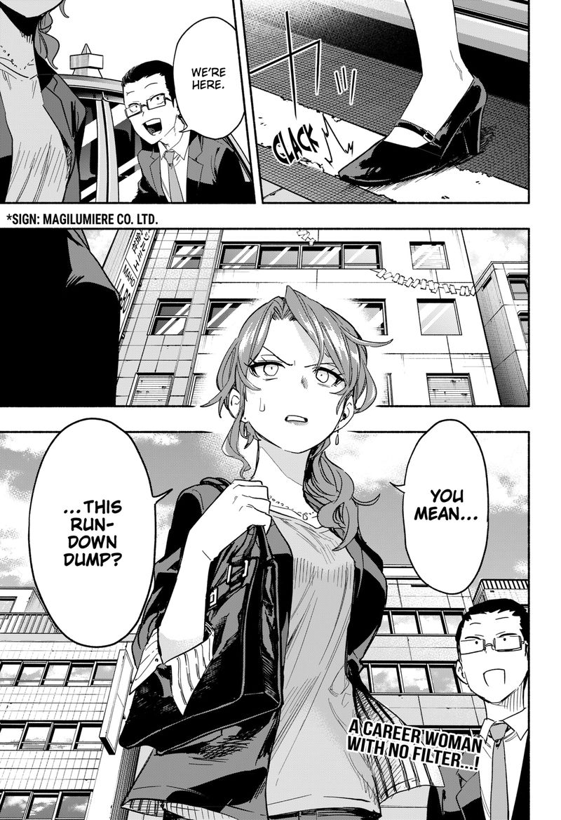Kabushiki Gaisha Magilumiere 27 19