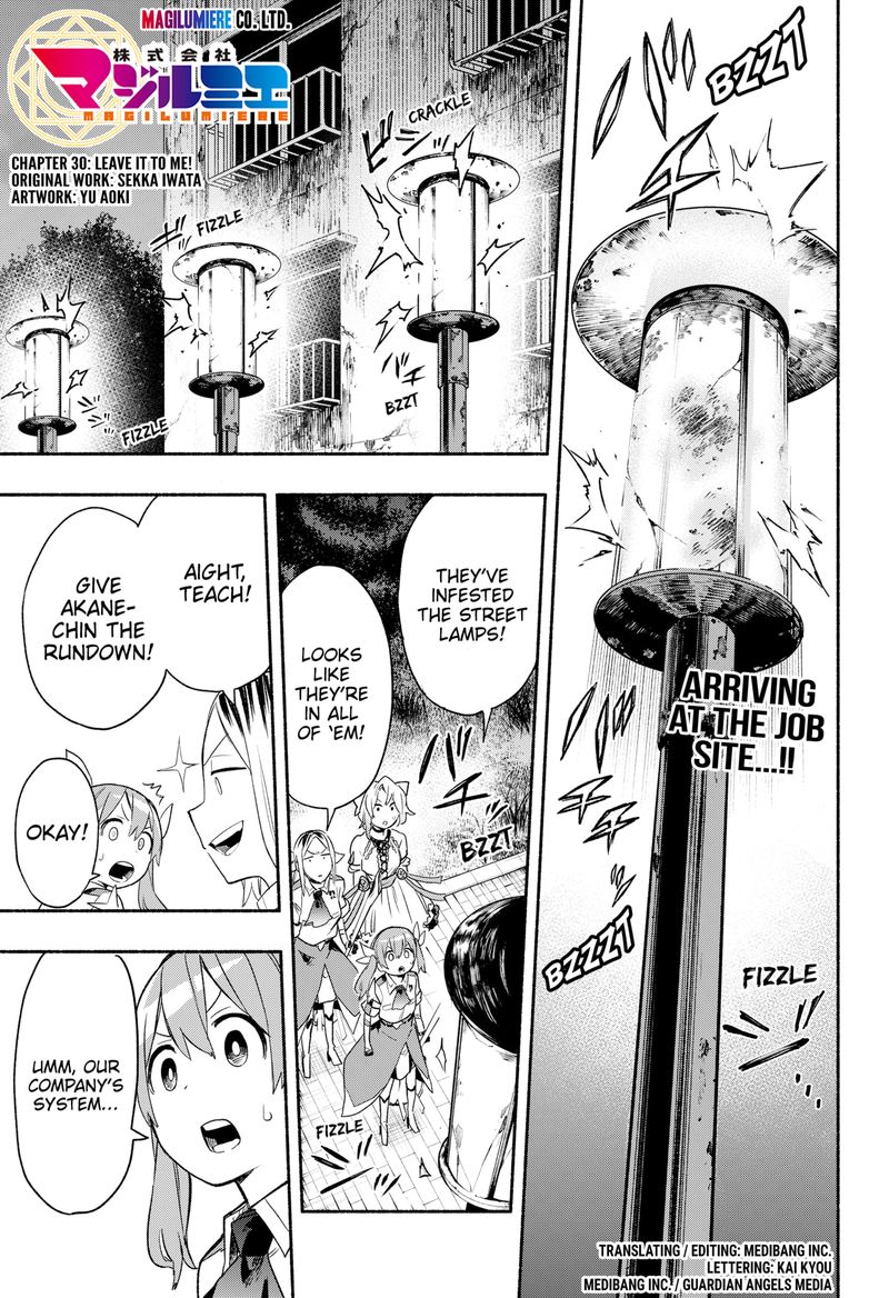 Kabushiki Gaisha Magilumiere 30 1
