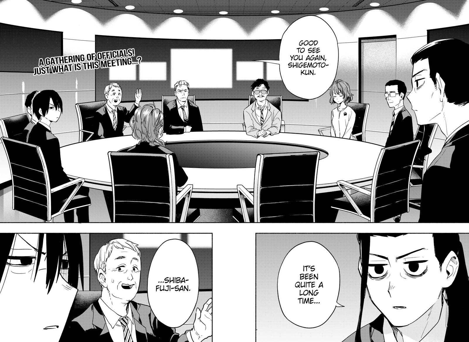 Kabushiki Gaisha Magilumiere 33 18