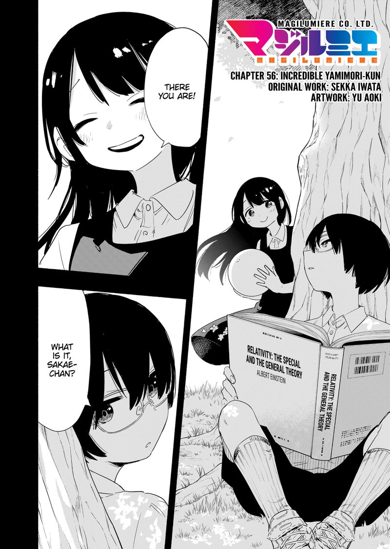 Kabushiki Gaisha Magilumiere 56 4