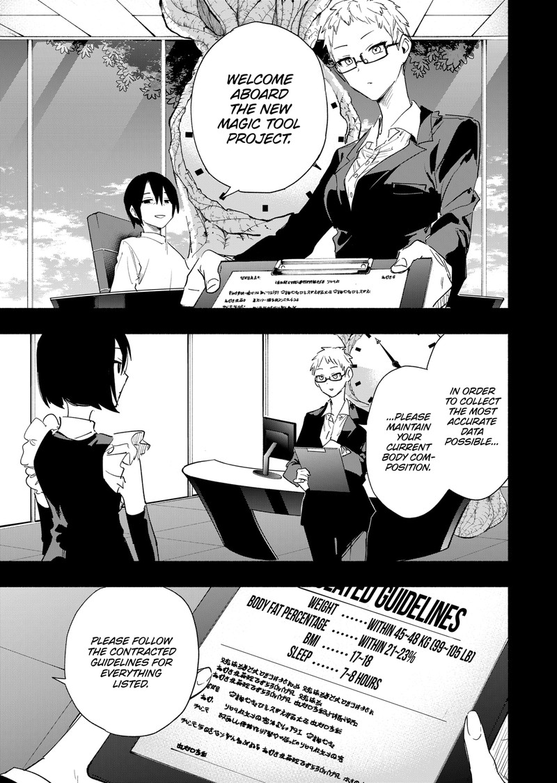 Kabushiki Gaisha Magilumiere 65 3