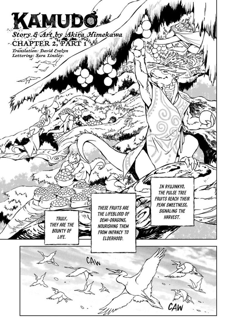 Kamudo 2a 1