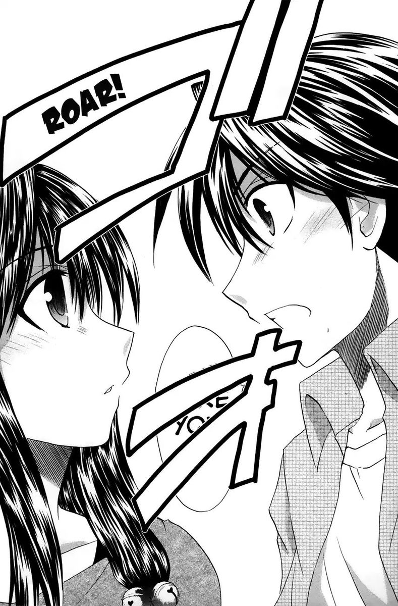 Kanade 21 28