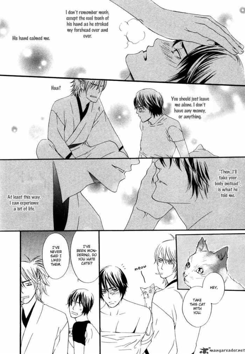 Kannou Shousetsuka No Neko 1 14