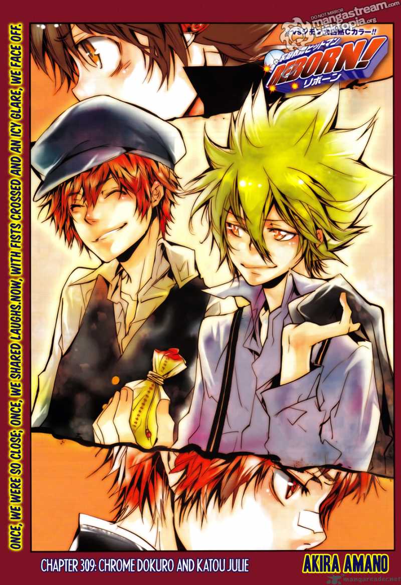 Katekyo Hitman Reborn 309 1
