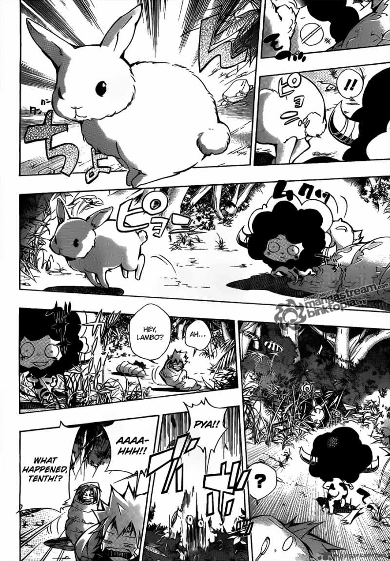 Katekyo Hitman Reborn 309 15