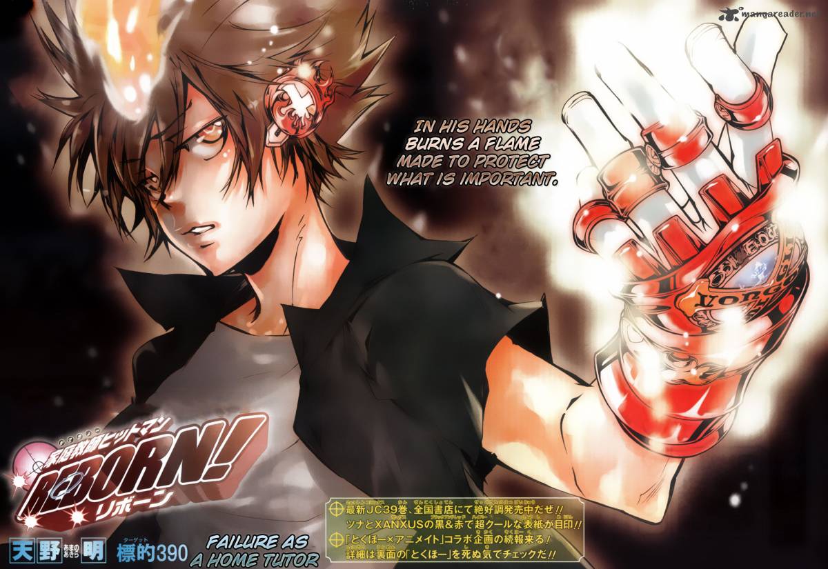 Katekyo Hitman Reborn 390 1
