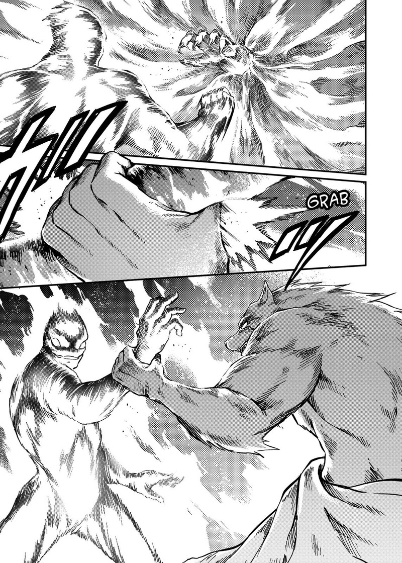Katsute Kami Datta Kemonotachi E 78 19