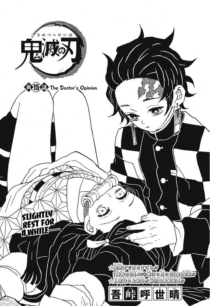 Kimetsu No Yaiba 15 1