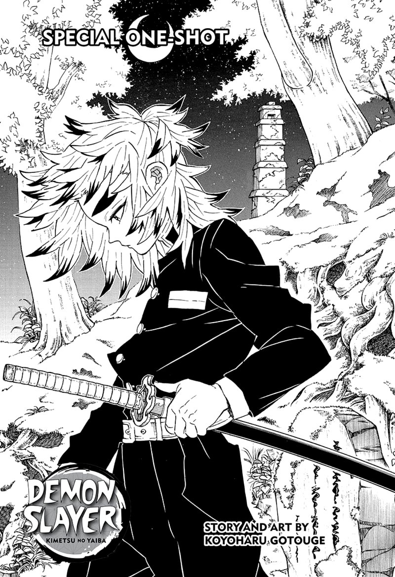 Kimetsu No Yaiba 206 1