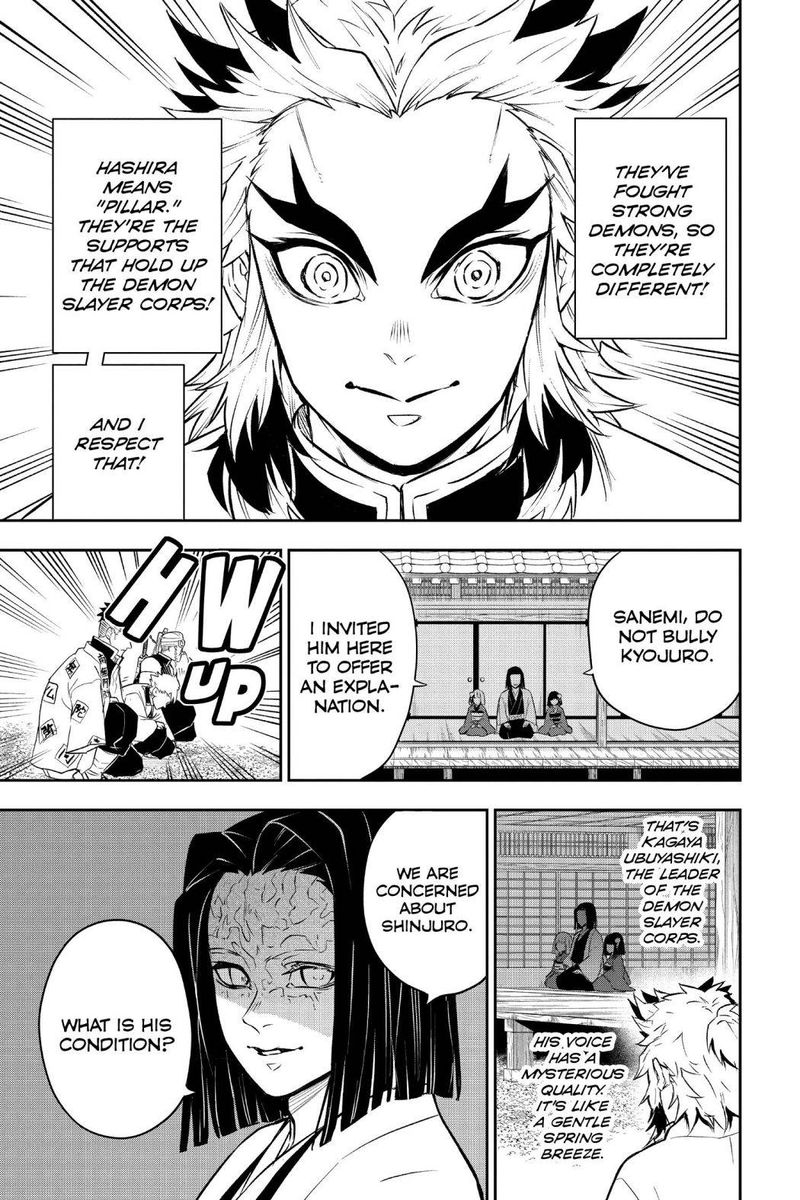 Kimetsu No Yaiba Gaiden 3 15